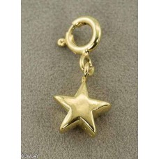 Star (925 Silver gold-plated) Star (925 Silver gold-plated)